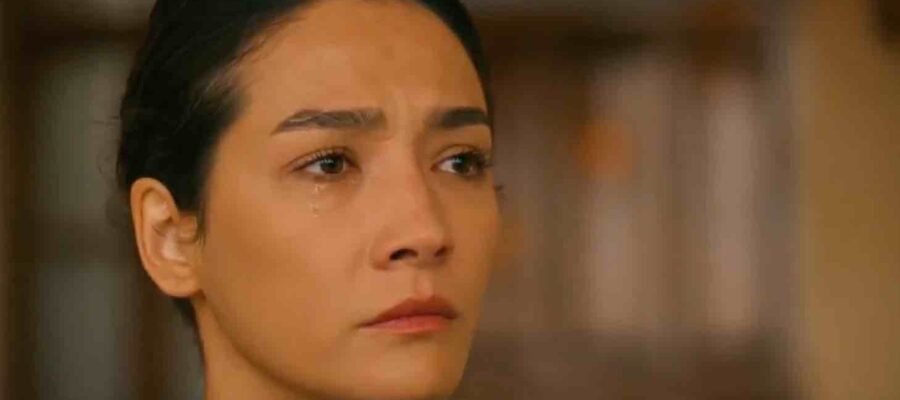 Преемник зов предков 14 серия турецкий сериал